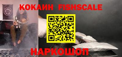 стаф Заводоуковск