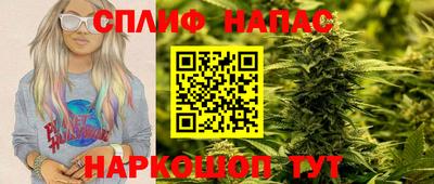 стаф Заводоуковск