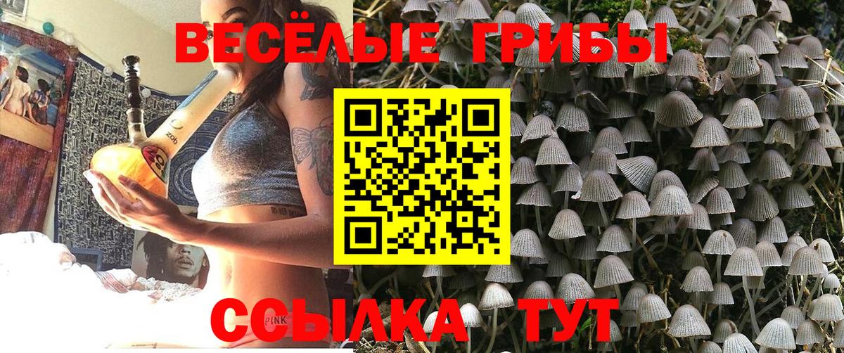 Псилоцибиновые грибы ЛСД Кунгур
