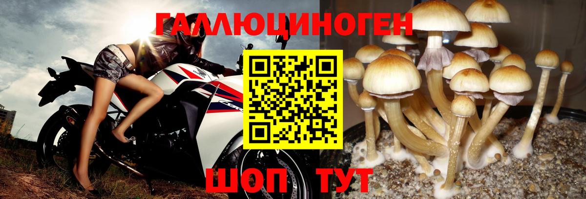 Галлюциногенные грибы мицелий  Псилоцибиновые грибы прущие грибы  Кунгур  Вход с VPN 