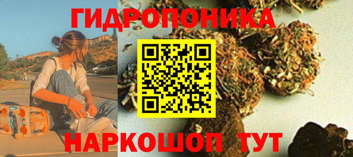 Кунгур  Каннабис планчик  Канабис план  Бошки Шишки семена  Вход с VPN 